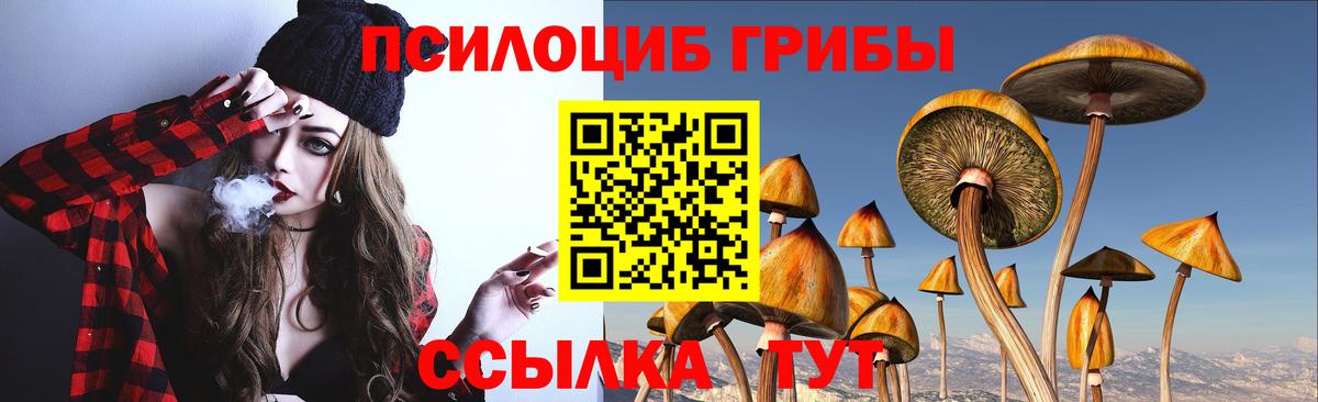 Галлюциногенные грибы мицелий  где купить наркоту  Кировск  Вход с VPN 